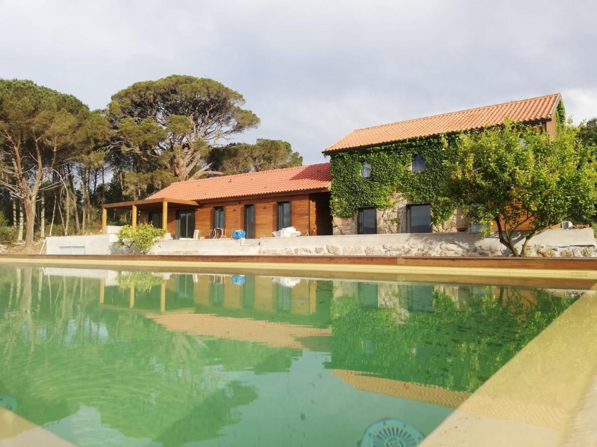 Casas Do Pinheiro Grande Villa Fornos de Algodres Dış mekan fotoğraf