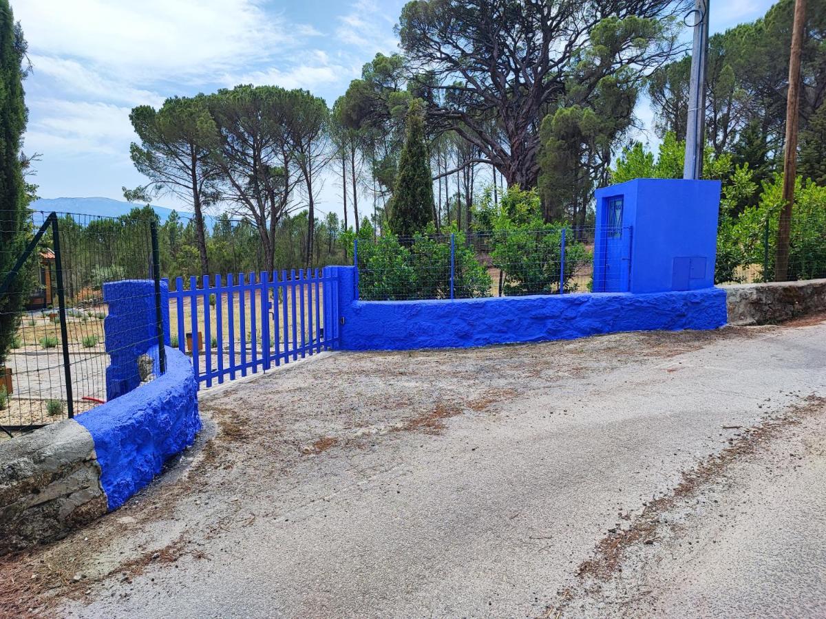 Casas Do Pinheiro Grande Villa Fornos de Algodres Dış mekan fotoğraf