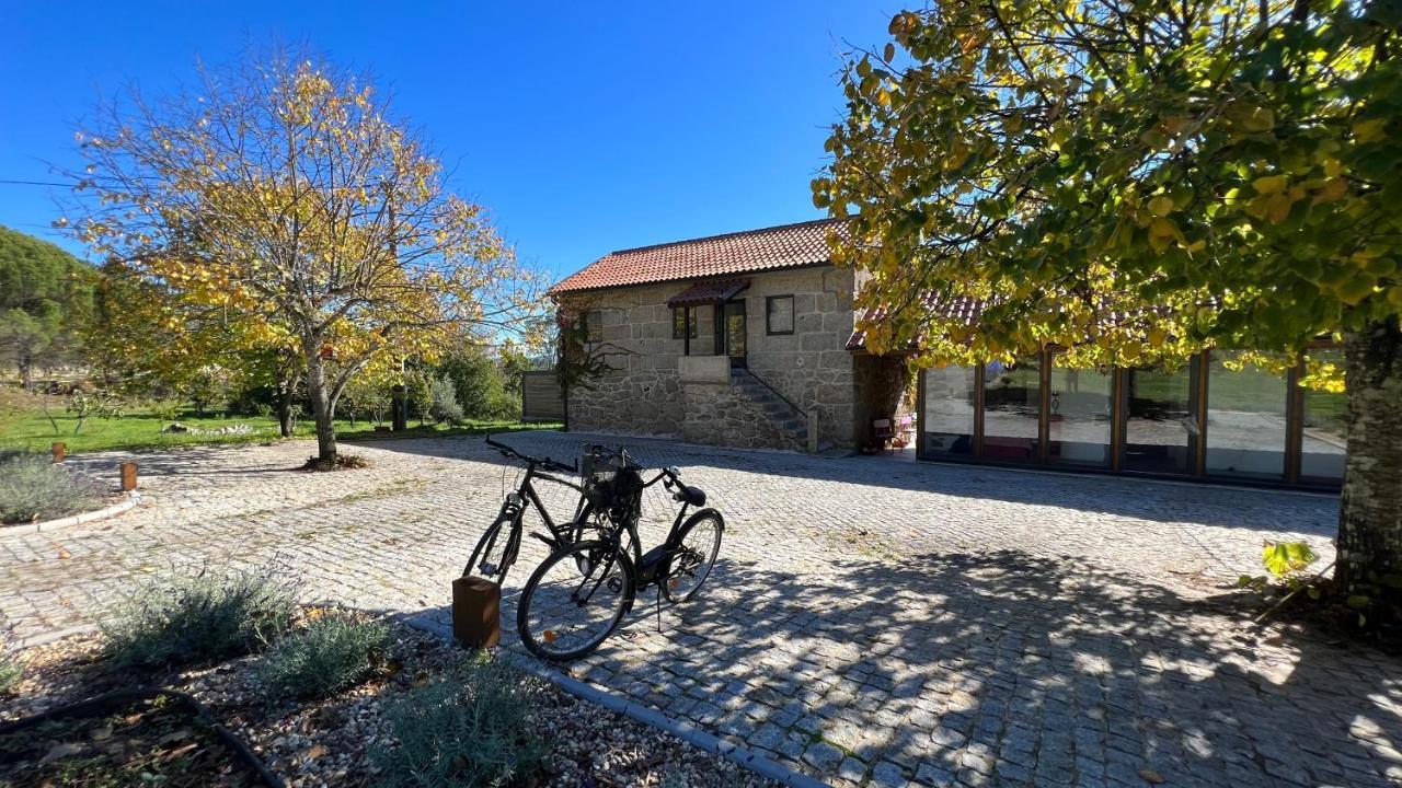 Casas Do Pinheiro Grande Villa Fornos de Algodres Dış mekan fotoğraf