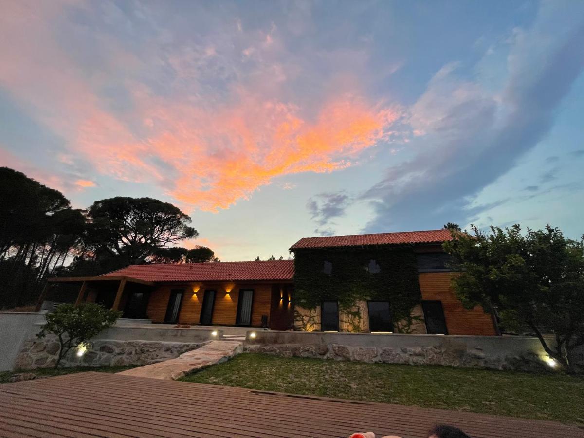 Casas Do Pinheiro Grande Villa Fornos de Algodres Dış mekan fotoğraf