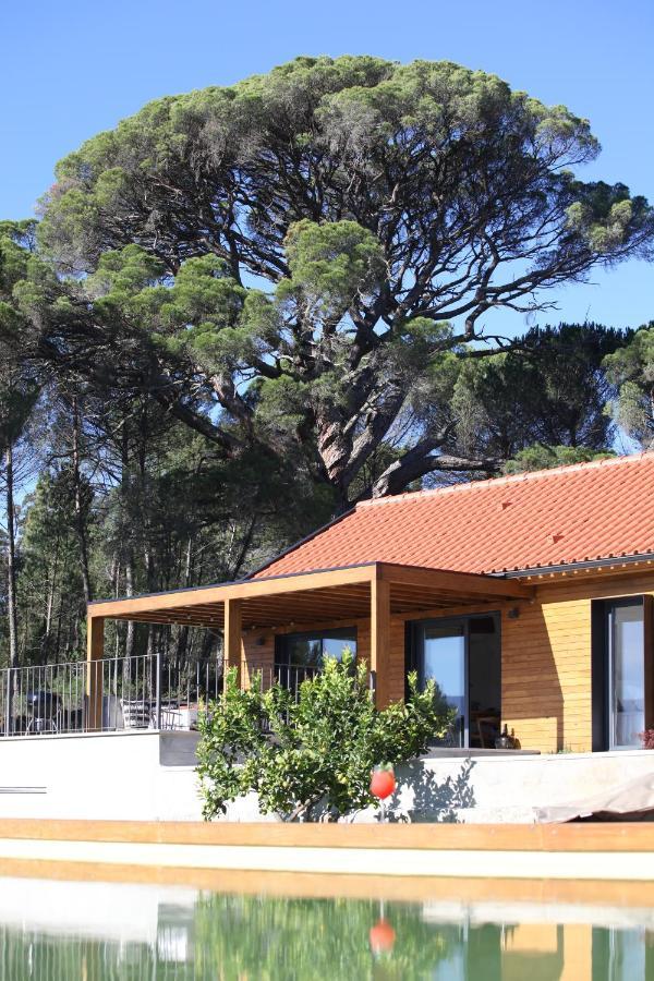 Casas Do Pinheiro Grande Villa Fornos de Algodres Dış mekan fotoğraf